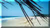 plage.JPG (22015 bytes)